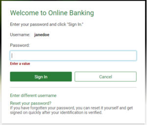 Screenshot - Password input